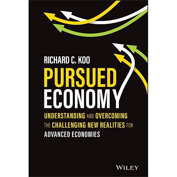 Pursued Economy, Richard C. Koo
