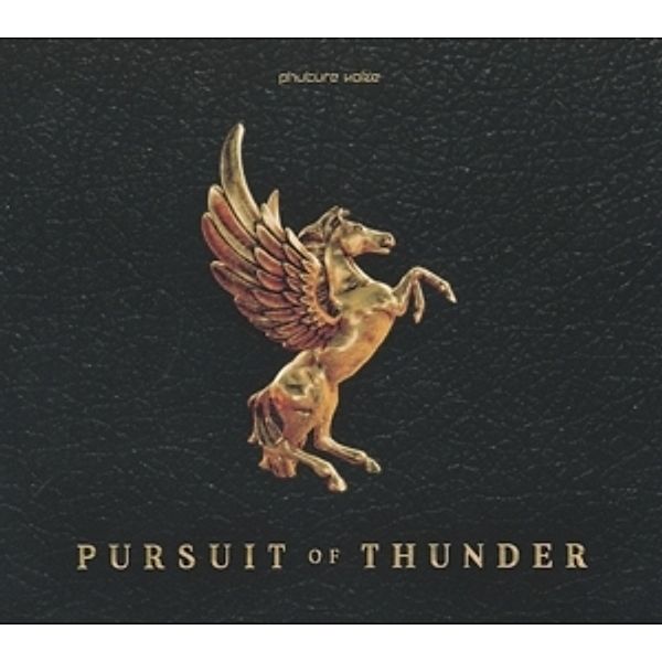 Pursuit Of Thunder, Phuture Noize