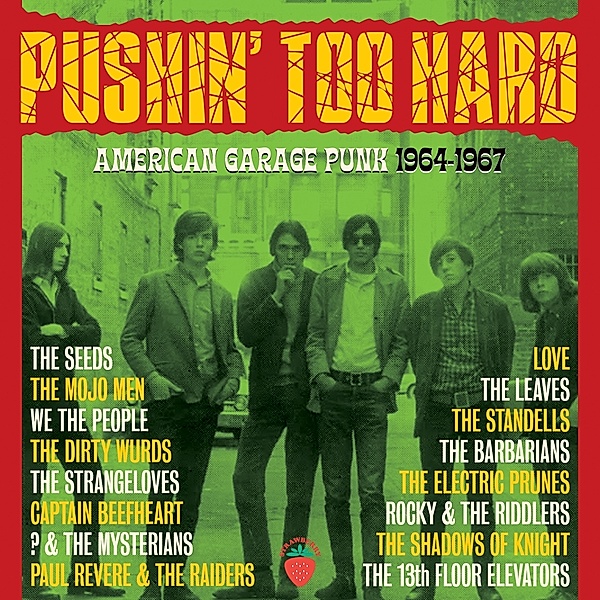 Pushin' Too Hard-American Garage Punk 1964-1967, Diverse Interpreten