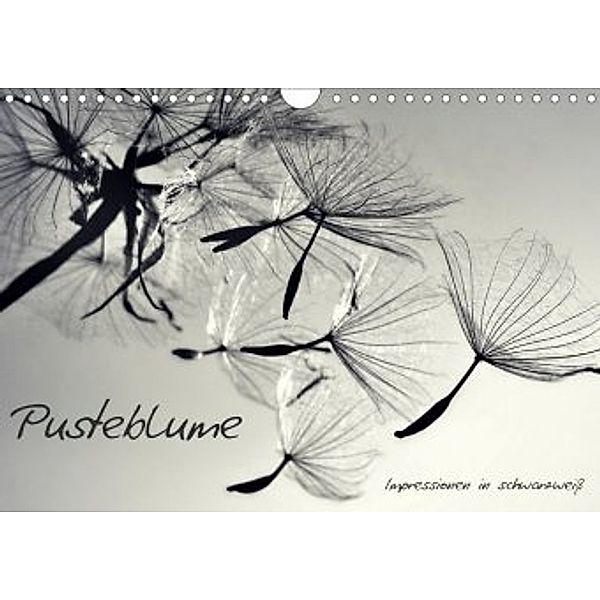 Pusteblume - Impressionen in schwarzweiß (Wandkalender 2020 DIN A4 quer), Julia Delgado