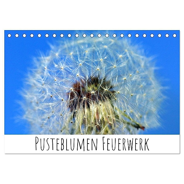 Pusteblumen Feuerwerk (Tischkalender 2024 DIN A5 quer), CALVENDO Monatskalender, Silvia Drafz