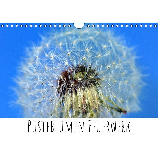 Pusteblumen Feuerwerk (Wandkalender 2022 DIN A4 quer), Silvia Drafz