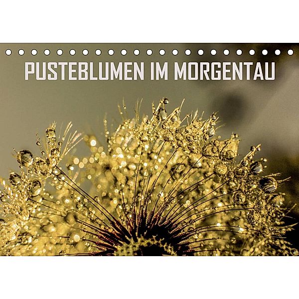 Pusteblumen im Morgentau (Tischkalender 2023 DIN A5 quer), reinhard sock