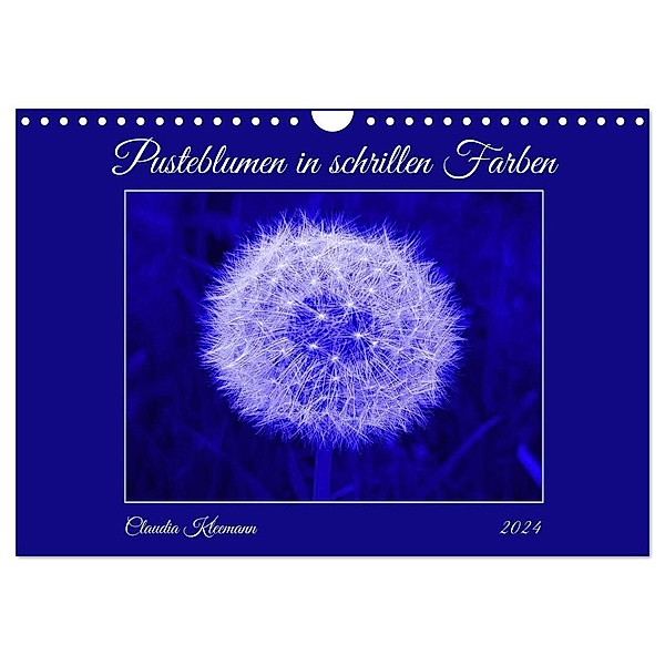 Pusteblumen in schrillen Farben (Wandkalender 2024 DIN A4 quer), CALVENDO Monatskalender, Claudia Kleemann