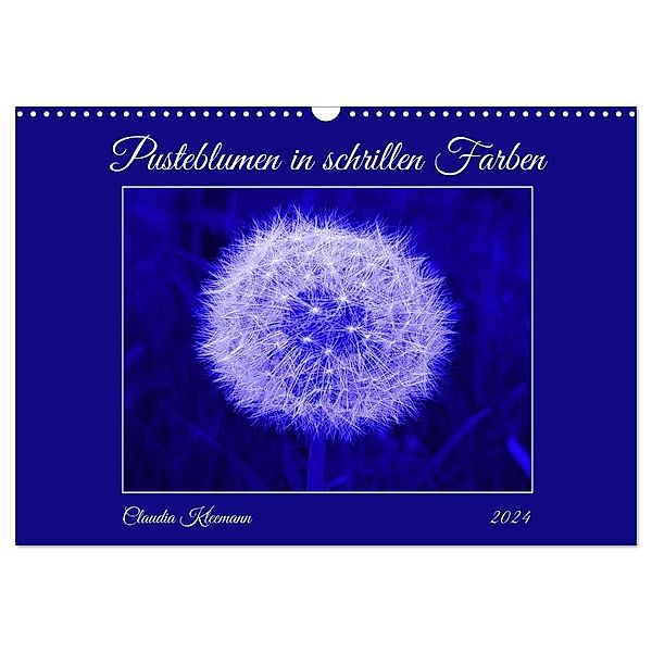 Pusteblumen in schrillen Farben (Wandkalender 2024 DIN A3 quer), CALVENDO Monatskalender, Claudia Kleemann
