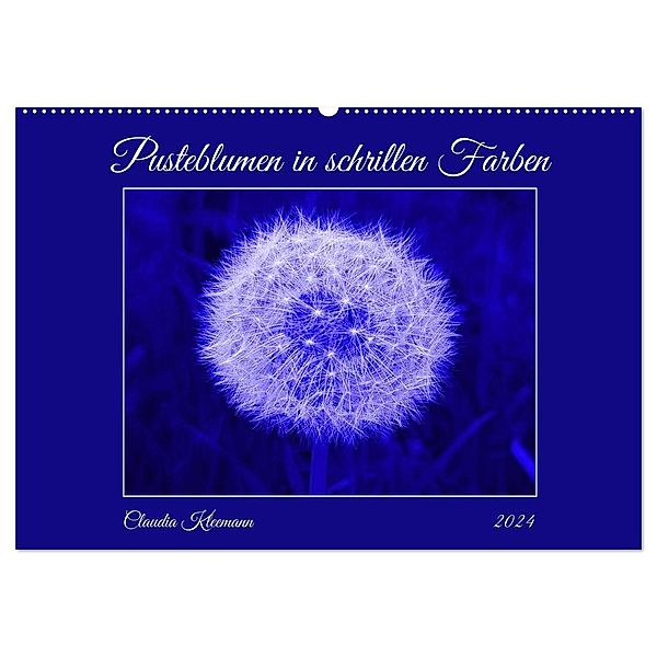 Pusteblumen in schrillen Farben (Wandkalender 2024 DIN A2 quer), CALVENDO Monatskalender, Claudia Kleemann