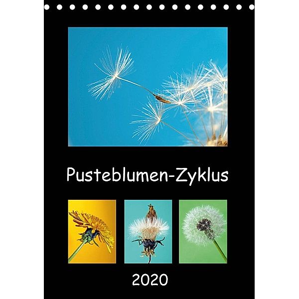 Pusteblumen-Zyklus (Tischkalender 2020 DIN A5 hoch), Dagmar Laimgruber