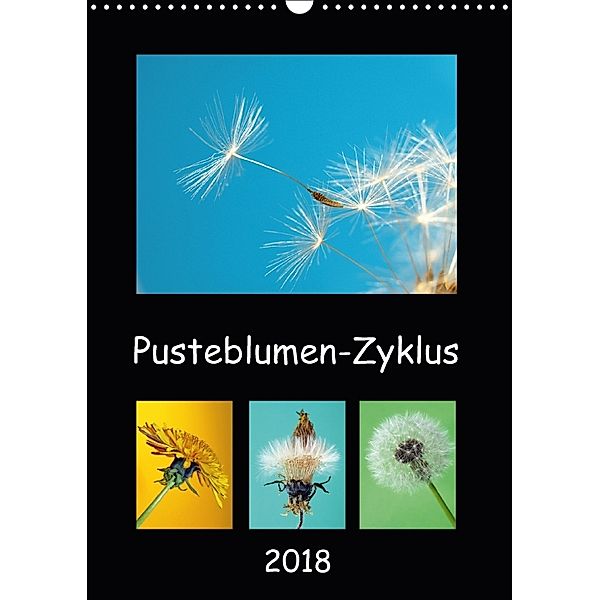 Pusteblumen-Zyklus (Wandkalender 2018 DIN A3 hoch), Dagmar Laimgruber