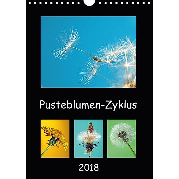 Pusteblumen-Zyklus (Wandkalender 2018 DIN A4 hoch), Dagmar Laimgruber