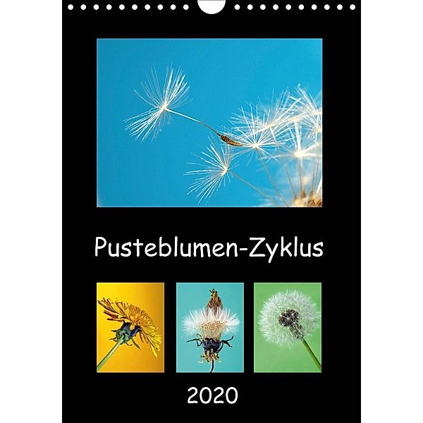 Pusteblumen-Zyklus (Wandkalender 2020 DIN A4 hoch), Dagmar Laimgruber