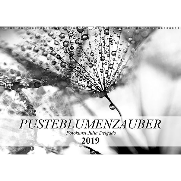 Pusteblumenzauber in schwarzweiß (Wandkalender 2019 DIN A2 quer), Julia Delgado
