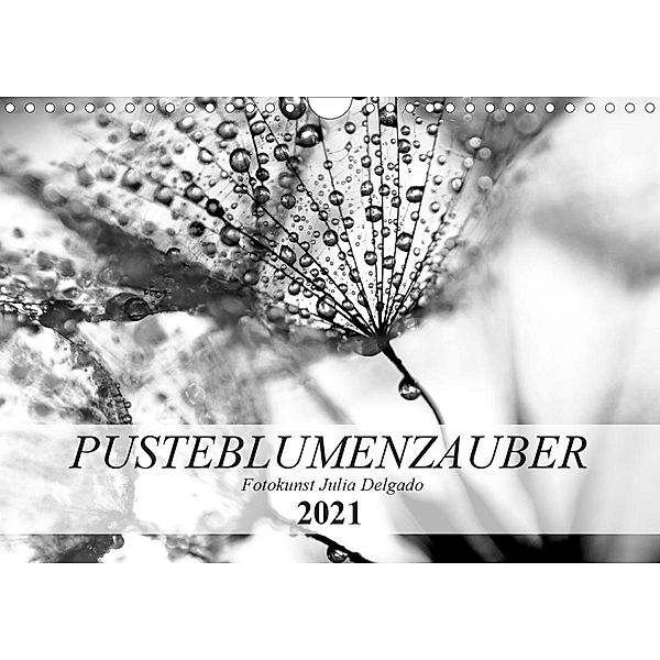 Pusteblumenzauber in schwarzweiß (Wandkalender 2021 DIN A4 quer), Julia Delgado