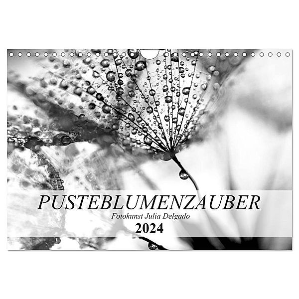 Pusteblumenzauber in schwarzweiss (Wandkalender 2024 DIN A4 quer), CALVENDO Monatskalender, Julia Delgado