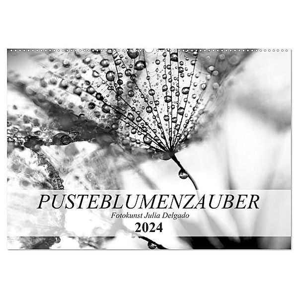 Pusteblumenzauber in schwarzweiß (Wandkalender 2024 DIN A2 quer), CALVENDO Monatskalender, Julia Delgado