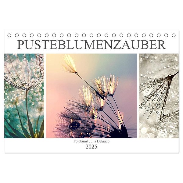 PusteblumenZauber (Tischkalender 2025 DIN A5 quer), CALVENDO Monatskalender, Calvendo, Julia Delgado