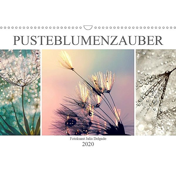 PusteblumenZauber (Wandkalender 2020 DIN A3 quer), Julia Delgado