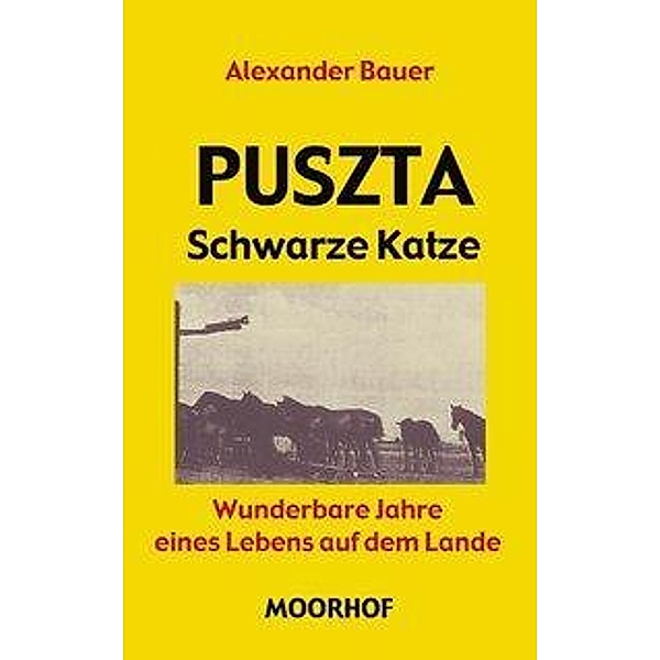 Puszta - Schwarze Katze, Alexander Bauer