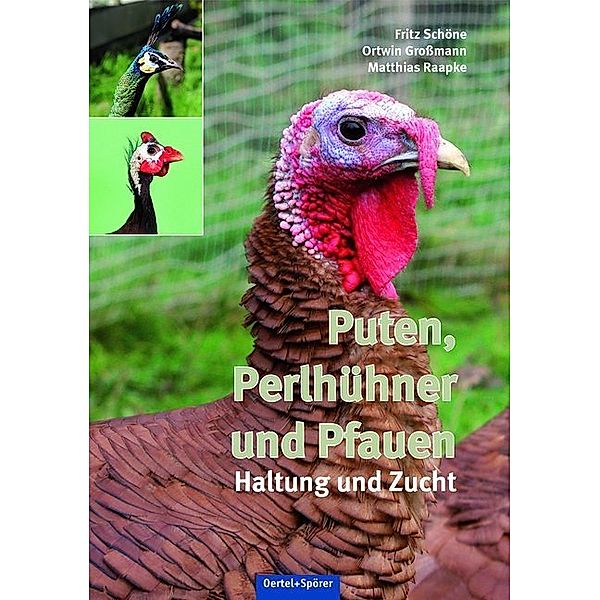 Puten, Perlhühner und Pfauen, Fritz Schöne