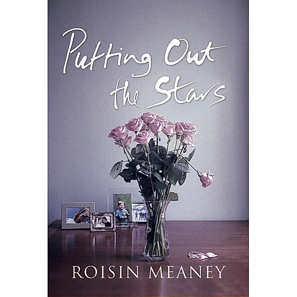 Putting Out the Stars, A Modern Irish Romance, Roisin Meaney