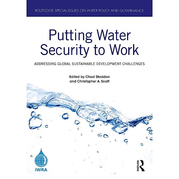 Putting Water Security to Work