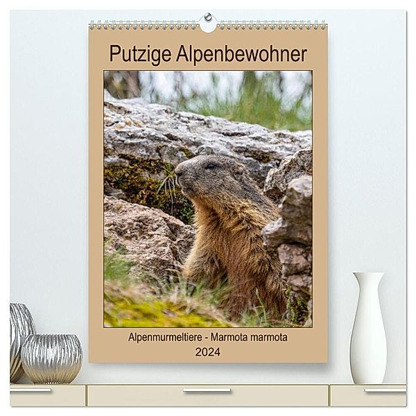 Putzige Alpenbewohner - Alpenmurmeltiere (hochwertiger Premium Wandkalender 2024 DIN A2 hoch), Kunstdruck in Hochglanz, Ursula Di Chito