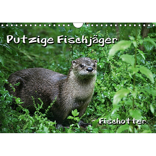 Putzige Fischj?ger (Wandkalender 2019 DIN A4 quer), Martina Berg