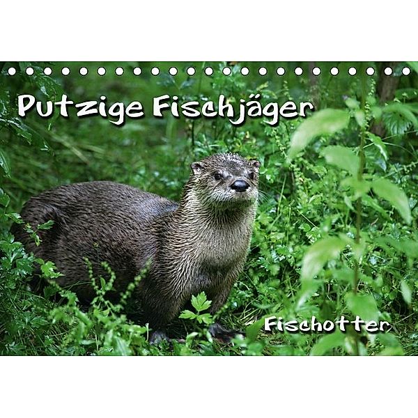 Putzige Fischjäger (Tischkalender 2017 DIN A5 quer), Martina Berg