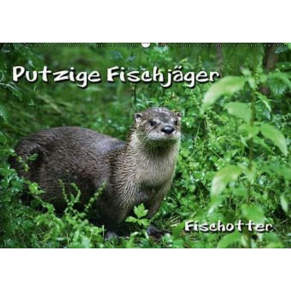 Putzige Fischjäger (Wandkalender 2015 DIN A2 quer), Martina Berg