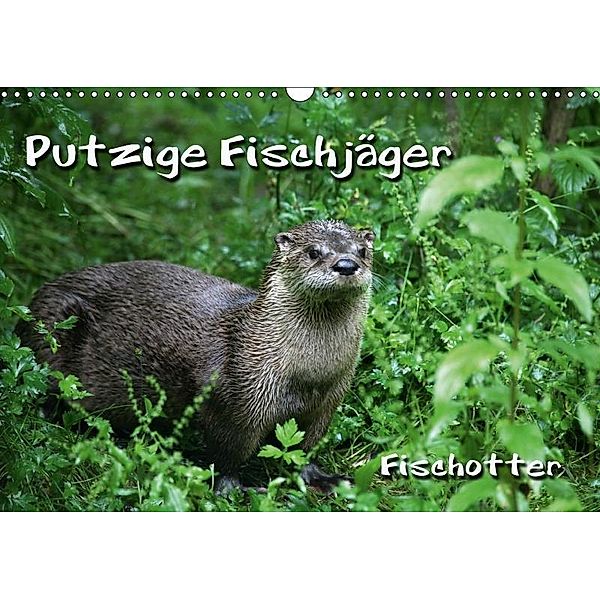 Putzige Fischjäger (Wandkalender 2017 DIN A3 quer), Martina Berg