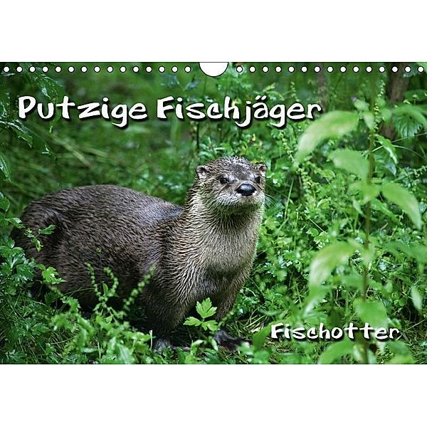 Putzige Fischjäger (Wandkalender 2017 DIN A4 quer), Martina Berg