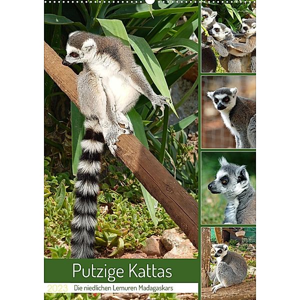 Putzige Kattas (Wandkalender 2023 DIN A2 hoch), Claudia Kleemann