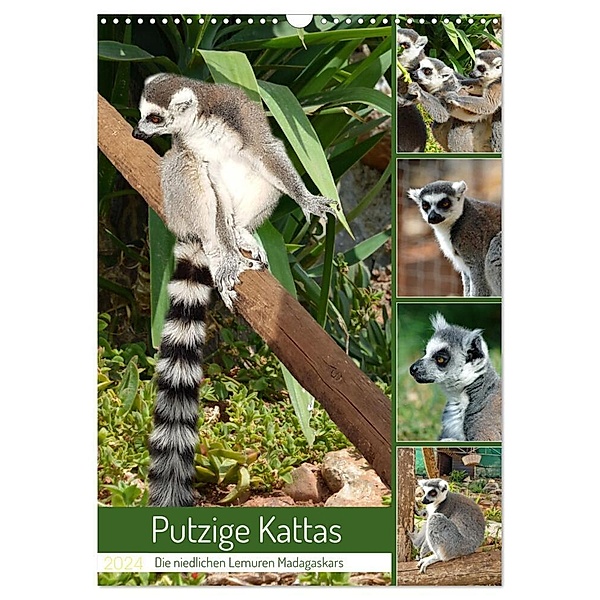 Putzige Kattas (Wandkalender 2024 DIN A3 hoch), CALVENDO Monatskalender, Claudia Kleemann