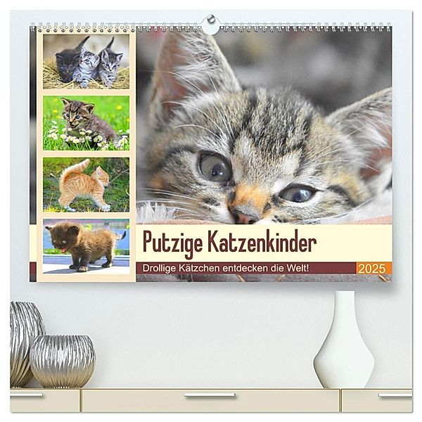 Putzige Katzenkinder. Drollige Kätzchen entdecken die Welt! (hochwertiger Premium Wandkalender 2025 DIN A2 quer), Kunstdruck in Hochglanz, Calvendo, Rose Hurley