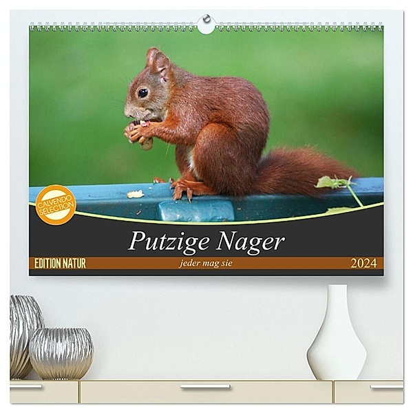 Putzige Nager (hochwertiger Premium Wandkalender 2024 DIN A2 quer), Kunstdruck in Hochglanz, Schnellewelten