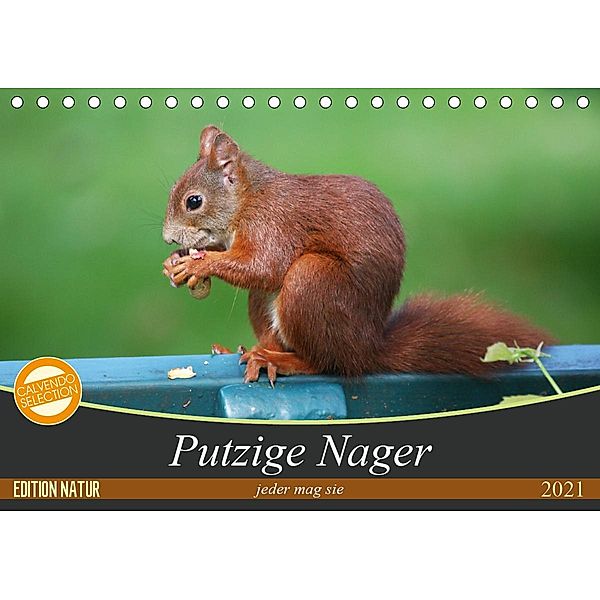 Putzige Nager (Tischkalender 2021 DIN A5 quer), Schnellewelten