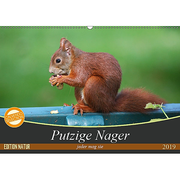 Putzige Nager (Wandkalender 2019 DIN A2 quer), SchnelleWelten