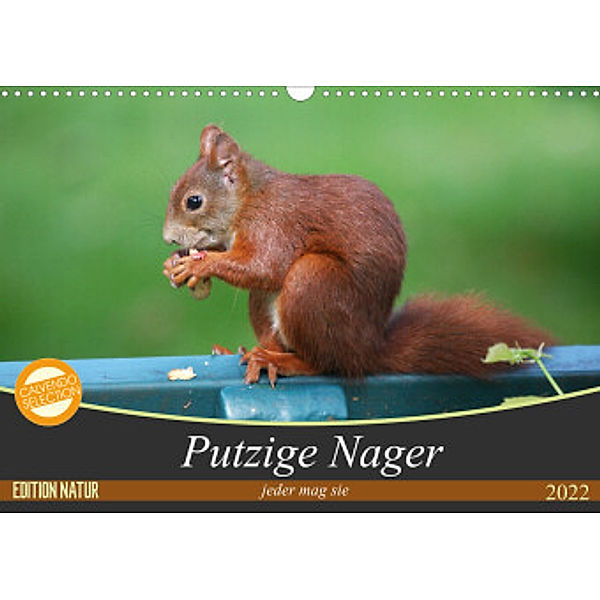 Putzige Nager (Wandkalender 2022 DIN A3 quer), SchnelleWelten