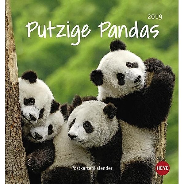 Putzige Pandas 2019