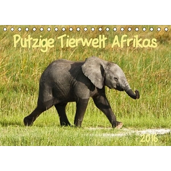 Putzige Tierwelt Afrikas (Tischkalender 2016 DIN A5 quer), Nadine Haase