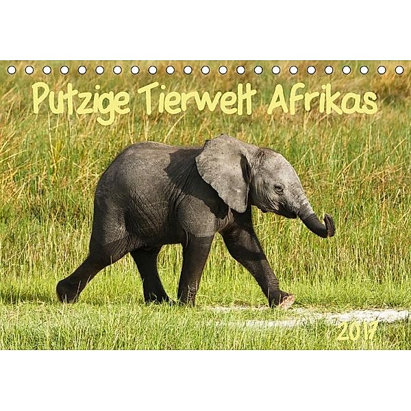 Putzige Tierwelt Afrikas (Tischkalender 2017 DIN A5 quer), Nadine Haase