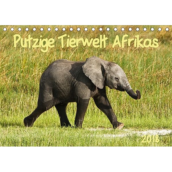 Putzige Tierwelt Afrikas (Tischkalender 2018 DIN A5 quer), Nadine Haase