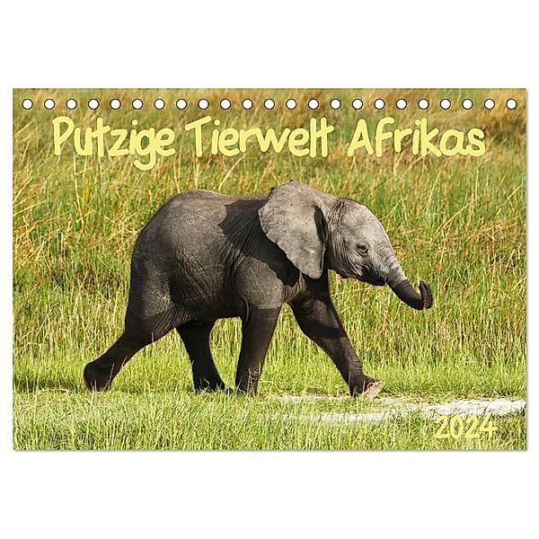 Putzige Tierwelt Afrikas (Tischkalender 2024 DIN A5 quer), CALVENDO Monatskalender, Nadine Haase