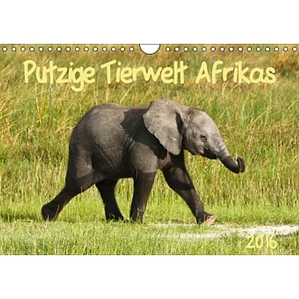 Putzige Tierwelt Afrikas (Wandkalender 2016 DIN A4 quer), Nadine Haase