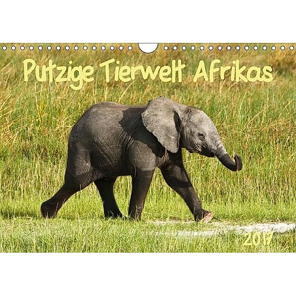 Putzige Tierwelt Afrikas (Wandkalender 2017 DIN A4 quer), Nadine Haase