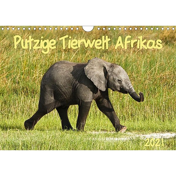 Putzige Tierwelt Afrikas (Wandkalender 2021 DIN A4 quer), Nadine Haase