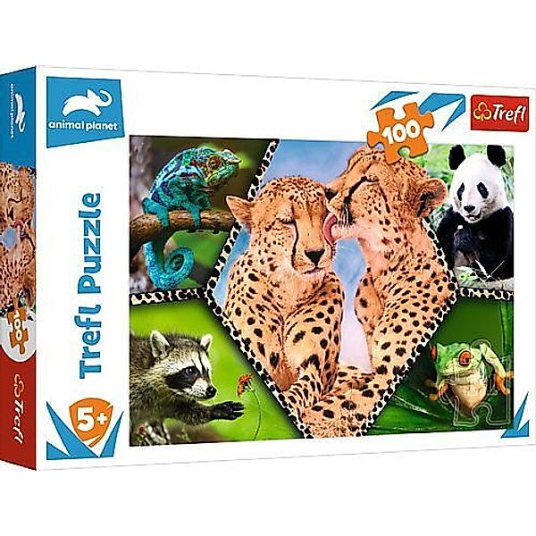 Trefl Puzzle 100  Schöne Natur