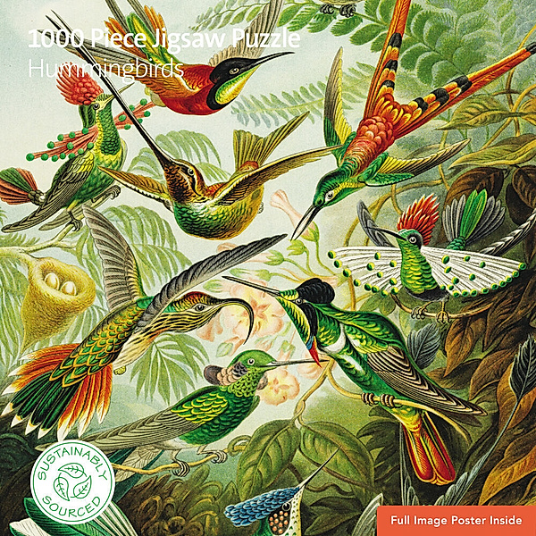 Flechsig, BrownTrout Puzzle - Ernst Haeckel, Kolibris, Flame Tree Publishing