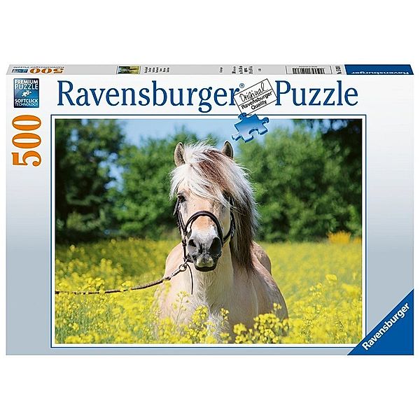 Ravensburger Verlag Puzzle PFERD IM RAPSFELD 500-teilig