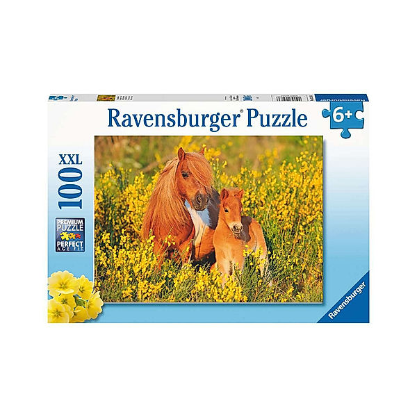Ravensburger Verlag Puzzle XXL SHETLANDPONYS 100-teilig