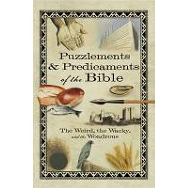 Puzzlements & Predicaments of the Bible, Howard Books